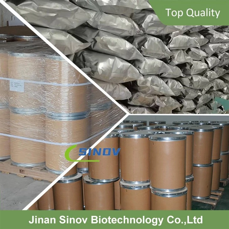 bulk Organic Berberine Powder factory